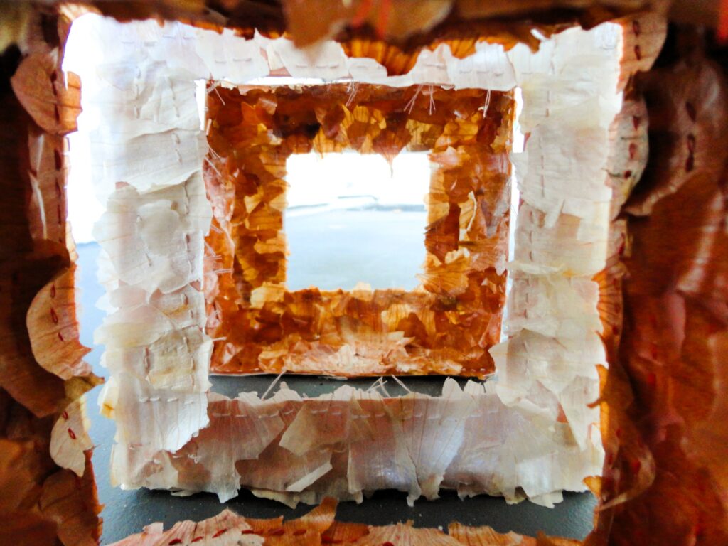 Paper boxes with orange and white onion skins inside and outside.