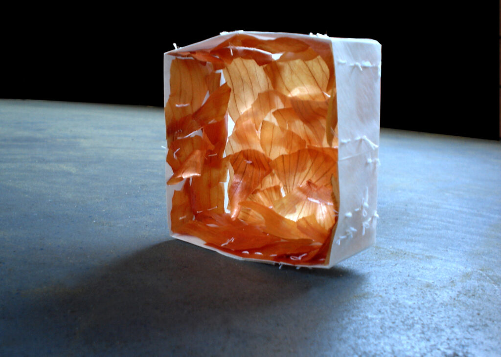 A sculpture made from a white paper box with onion skins stitched to the inside.