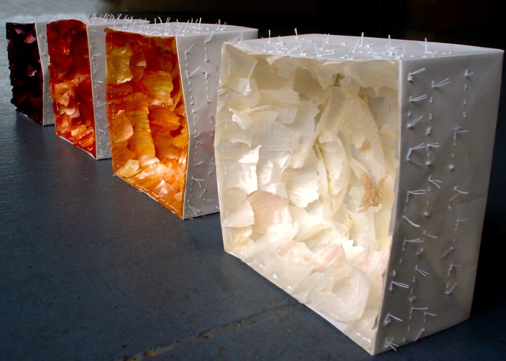 A row of paper boxes filled with four different colors of onion skins.