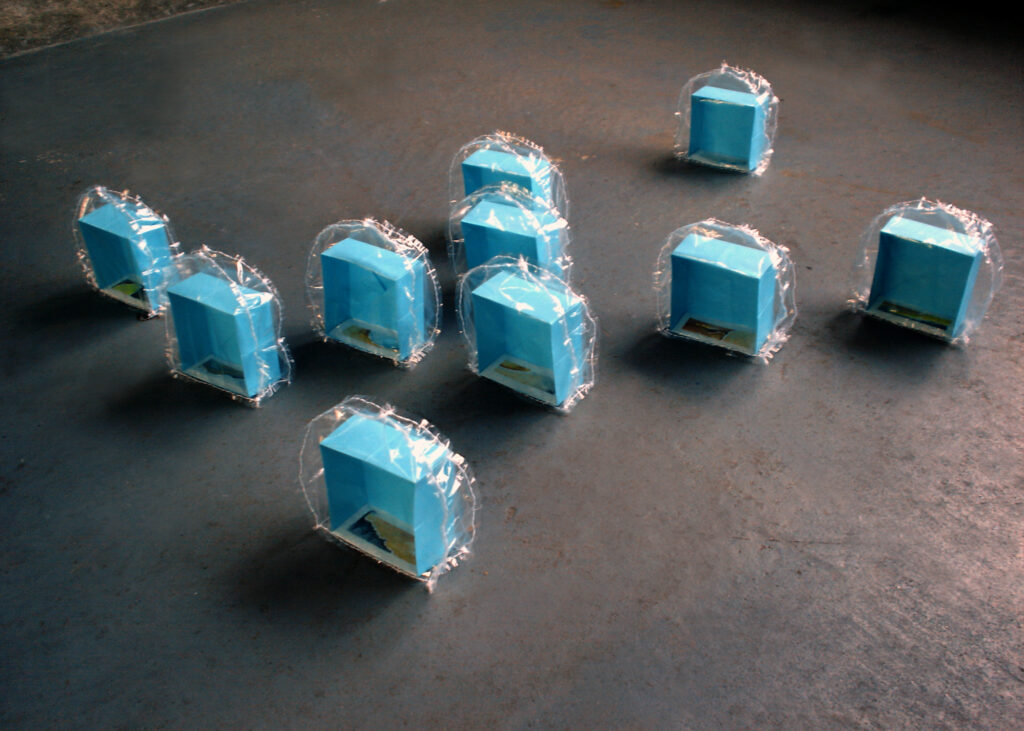 A herd of blue paper boxes with oil paintings inside, enclosed in hand-sewn plastic domes.