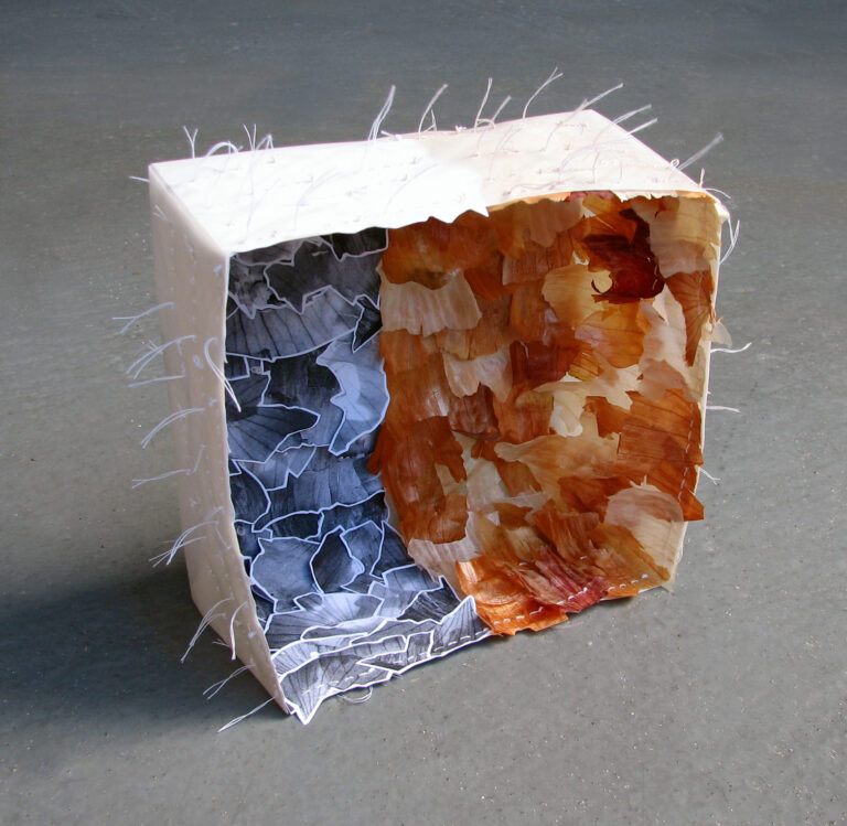 A white paper origami box with orange onion skins and photocopies of onion skins sewn to the inside.