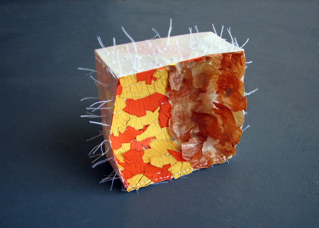 A paper box with hand-stitched onion skins and drawings of onion skins inside.