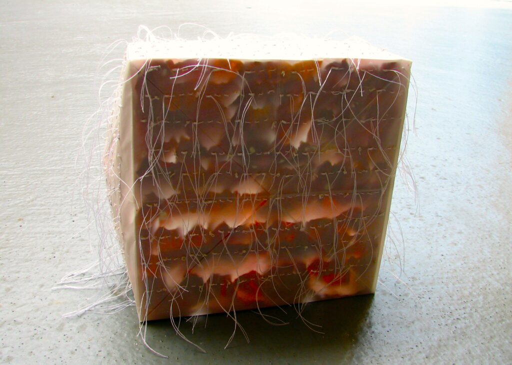 The back of a paper box filled with purple onion skins painted white.